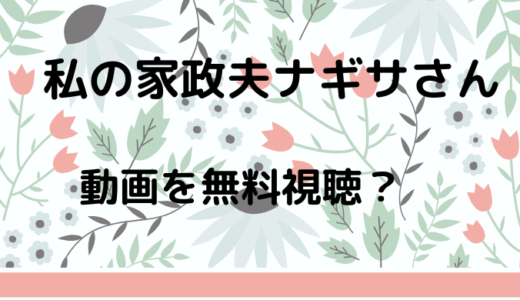 私の家政夫ナギサさん|見逃し動画を再放送で無料視聴！ワタナギ動画を無料で1話からフル視聴出来る？