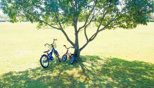 緊急事態宣言（外出自粛）で友達の家で遊ぶのや公園もダメ？遊具が閉鎖されてる！