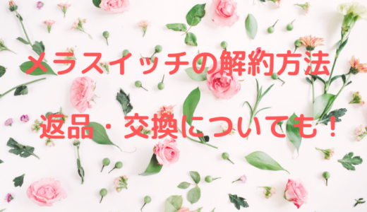 メラスイッチ解約方法は電話のみ！問い合わせ先や会社情報についても！